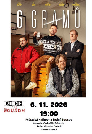 6.11. Kino v knihovně
